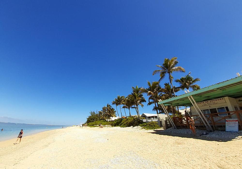Exceptionnel ! Le Kazuarina, Tres Bel Apt F3 A 50M De La Plage De La Saline Les Bains Zewnętrze zdjęcie