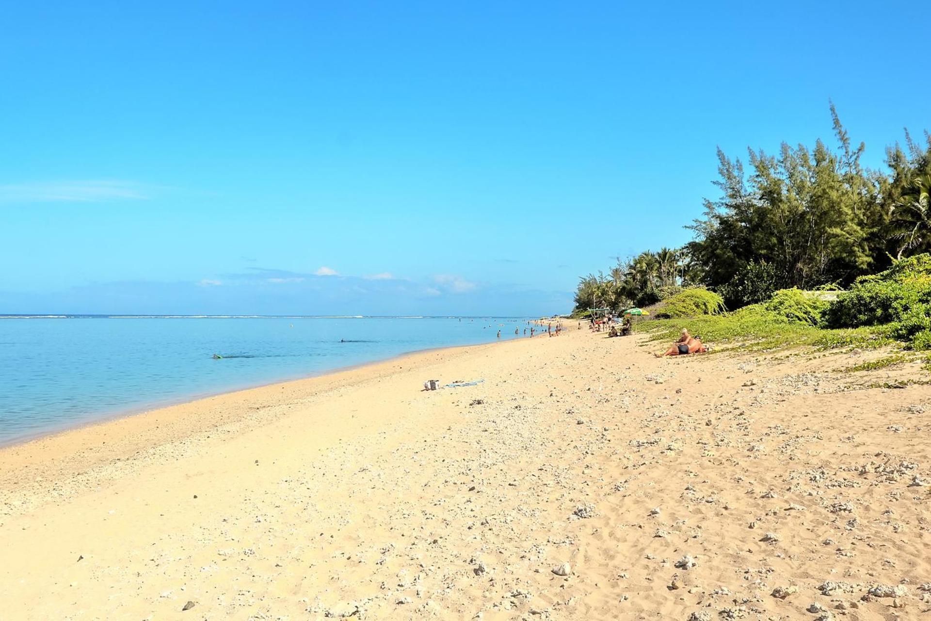 Exceptionnel ! Le Kazuarina, Tres Bel Apt F3 A 50M De La Plage De La Saline Les Bains Zewnętrze zdjęcie