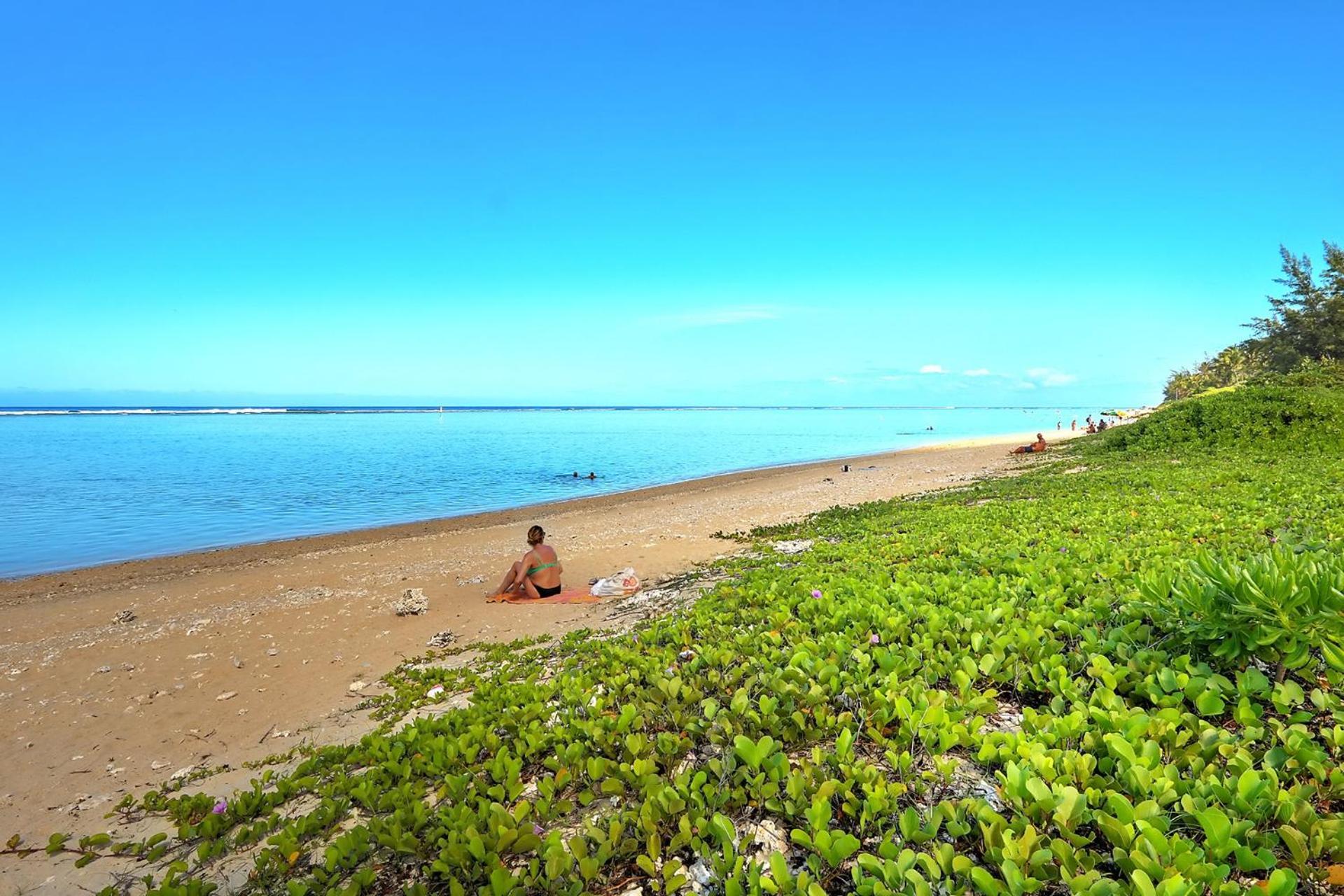 Exceptionnel ! Le Kazuarina, Tres Bel Apt F3 A 50M De La Plage De La Saline Les Bains Zewnętrze zdjęcie